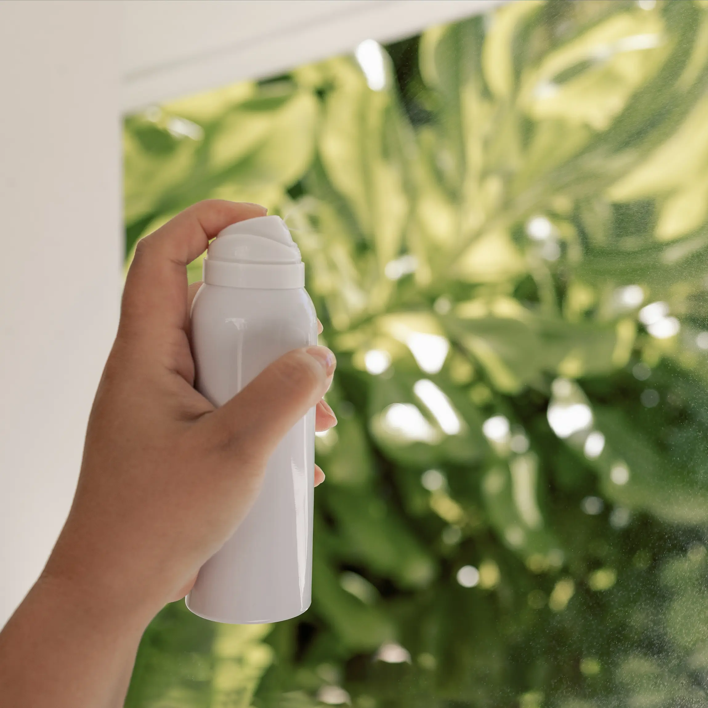 mauvaise odeur sous-sol